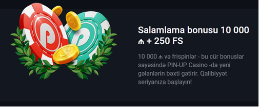 pin up casino bonus